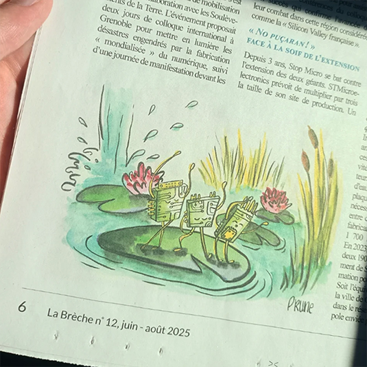 Illustration pour un article de la Brèche Journal, Prune Charlet