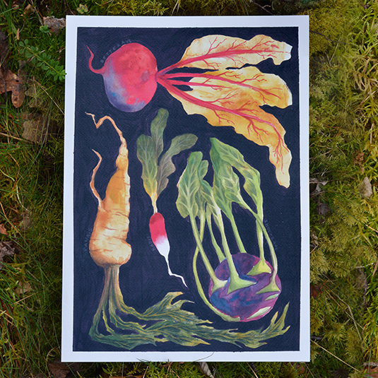 Illustration d'une affiche présentant différantes racines (radis, betterave...)  – collection culinaire, Prune Charlet