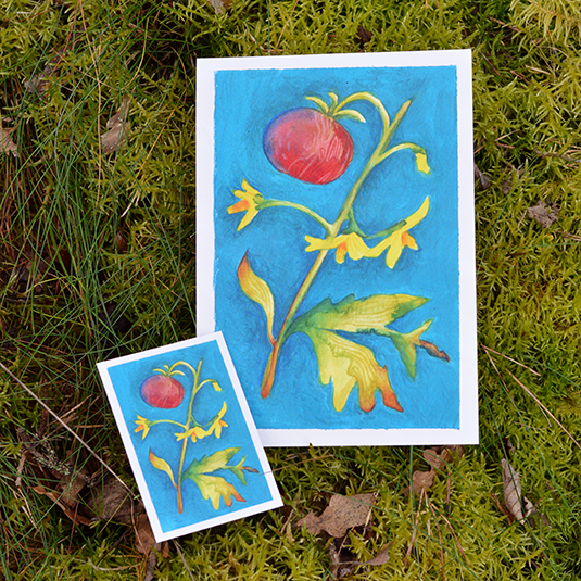 Illustration de tomate  – collection nature, Prune Charlet