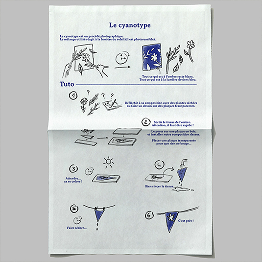 Illustration d'un tutorial pour une atelier de cyanotype, Prune Charlet